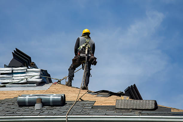 Professional Gutter Installation technician working in Oracle, AZ